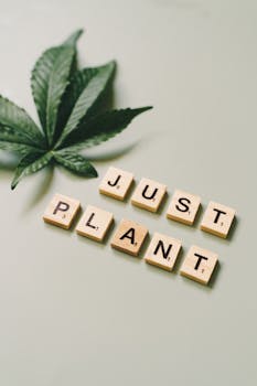 casino-transaction-setup