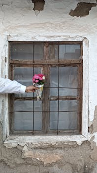 pexels-casino-5156490