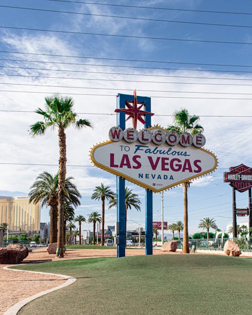 pexels-casino-6197053
