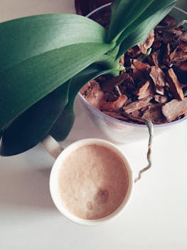 poker chips and cards