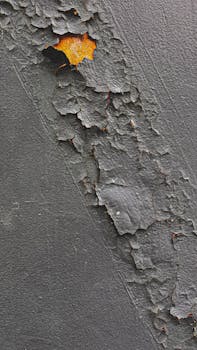 interest rates chart