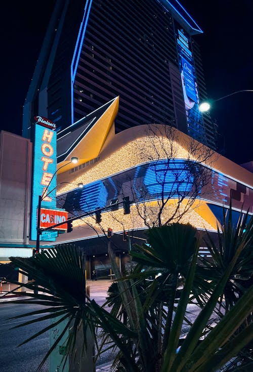 pexels-casino-lights