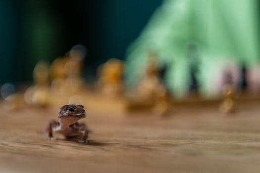 pexels-kevin-lam-2432053