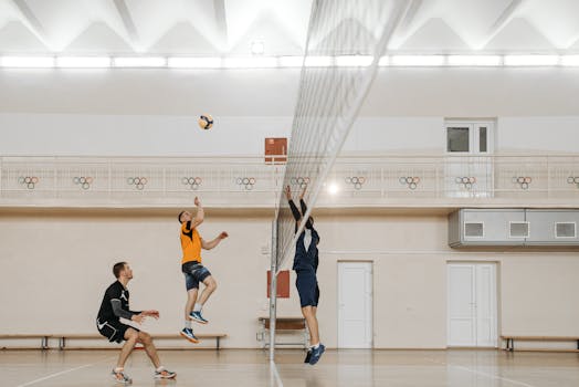 jokerpokeri-ilmainen-sanakirja-image1