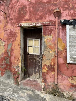 pexels-aaron-burden-1116598