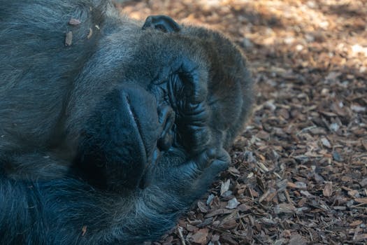 finnair mastercard experience