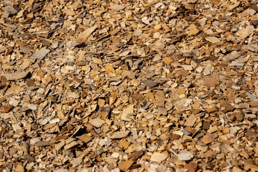 Uuden Pankkikortin Tilaus Ja Käyttöopas