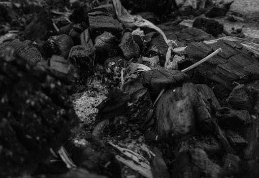 financial management