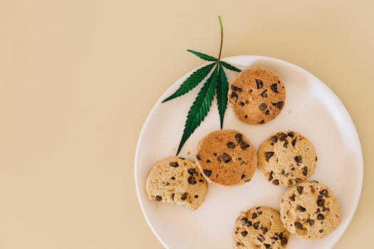 https://images.pexels.com/photos/12367043/pexels-photo-12367043.jpeg