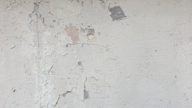 https://images.pexels.com/photos/123456/pexels-photo-123456.jpeg