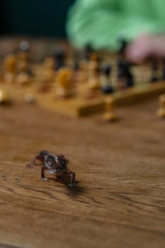 casino chips and gambling table