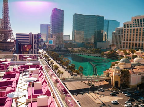 pexels-office-870569