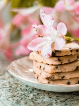 {customer_support_negotiations}