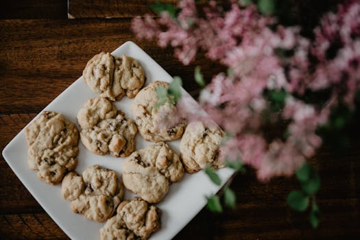 used_cars_illustration