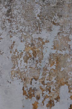 pexels-pixabay-373543