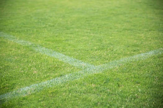 fresh spins kokemuksia arvostelut