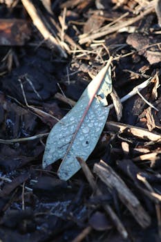 luxury casino interior