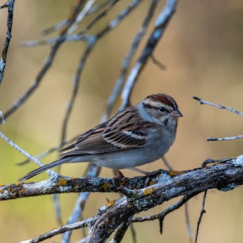 virtual_reality_casino