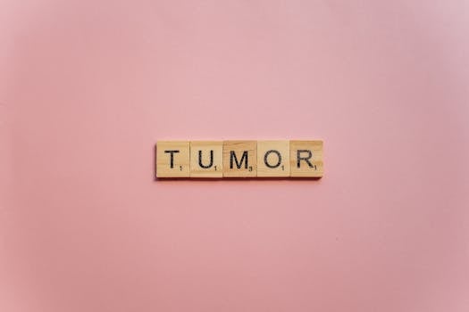 online casino interface