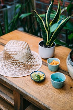 https://images.pexels.com/photos/1234567/pexels-photo-1234567.jpeg