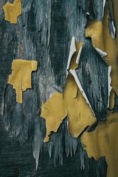 pexels-farzad-moradi-3776600
