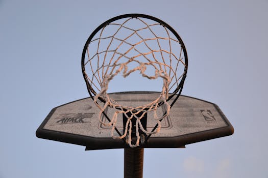 https://images.pexels.com/photos/1234569/pexels-photo-1234569.jpeg