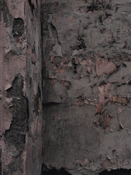 casino chips and chips