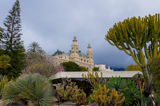 car interior showcasing dashboard and steering wheel
