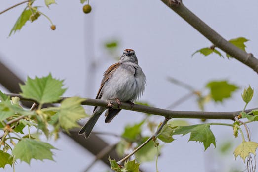 fast_withdrawal_tips