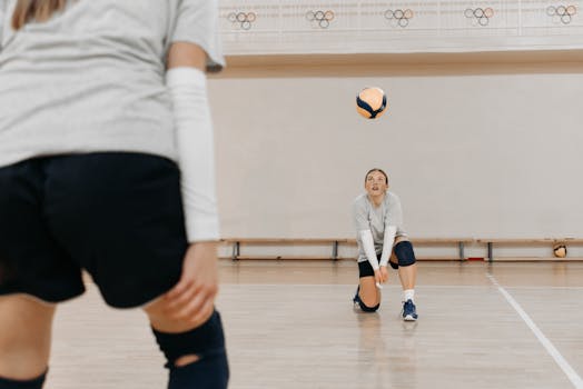 https://images.pexels.com/photos/1029595/pexels-photo-1029595.jpeg