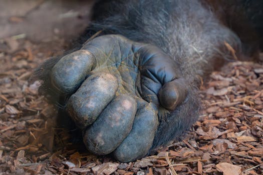 Täydellinen Opas Komplett Bank Luottokortti Minimilyhennys - Parhaat Vinkit Suomessa