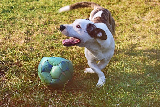 casino-room-with-slots